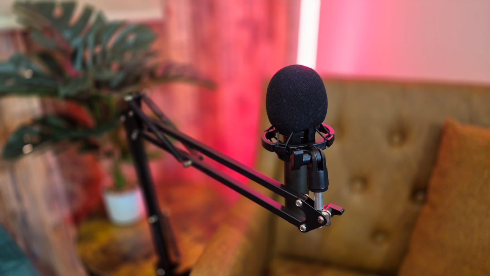 studio